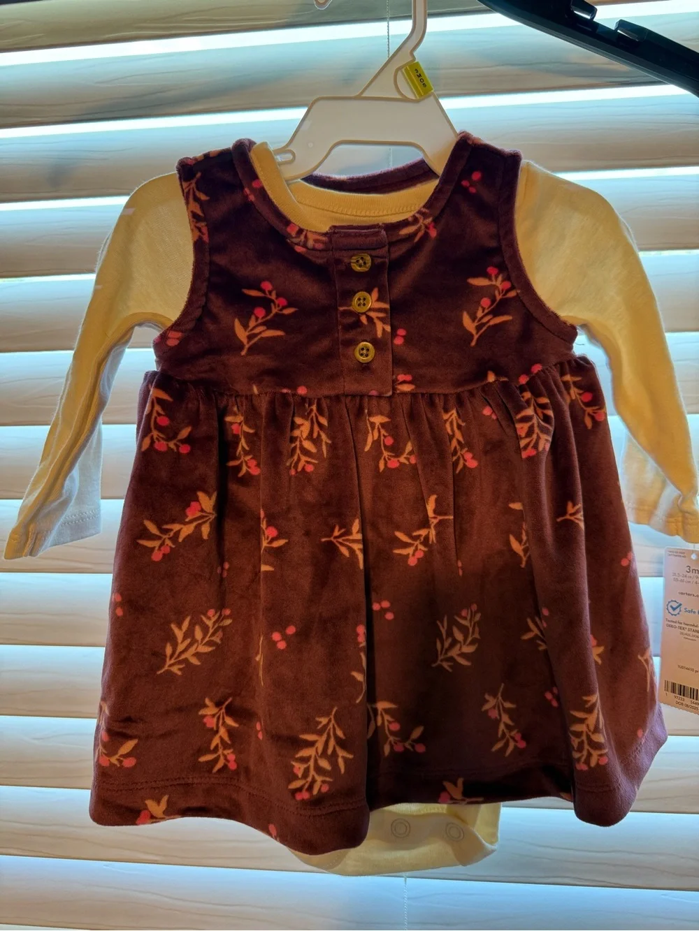 Carter's Baby Girl Bundle of Two Dress Sets
